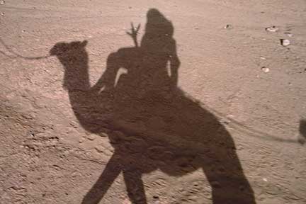 My shadow riding a camel